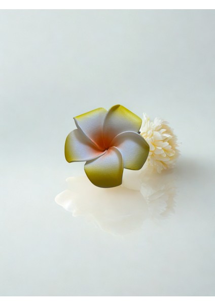 Hawaii Plumeria Çiçeği Kıstırmalı Köpük Toka 5,5cm