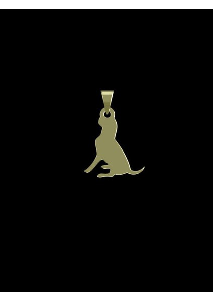 14 Ayar Altın Köpek Kolye Ucu 0.3 Gr, KC16415 Kodlu fiyatları