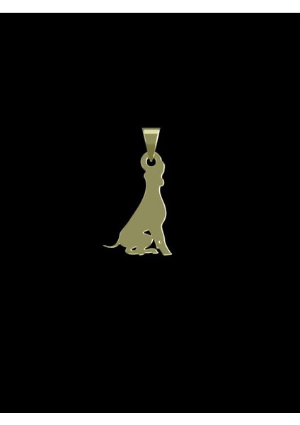 14 Ayar Altın Köpek Kolye Ucu 0.3 Gr, KC16407 Kodlu fiyatları
