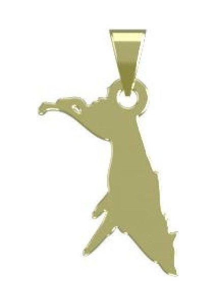 14 Ayar Altın Köpek Kolye Ucu 0.3 Gr, KC16367 Kodlu modelleri