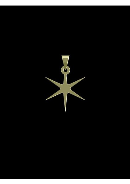 14 Ayar Altın Yıldız Kolye Ucu 0.3 Gr, KC15499 Kodlu fiyatları