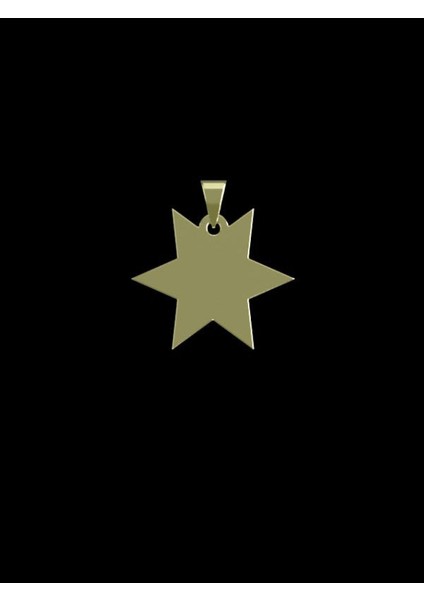 14 Ayar Altın Yıldız Kolye Ucu 0.3 Gr, KC15502 Kodlu fiyatları