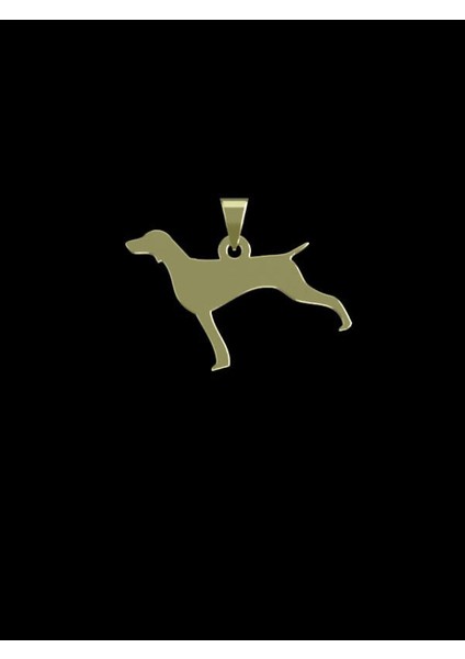 14 Ayar Altın Köpek Kolye Ucu 0.3 Gr, KC16497 Kodlu fiyatları