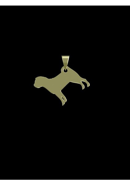 14 Ayar Altın Köpek Kolye Ucu 0.3 Gr, KC16302 Kodlu fiyatları