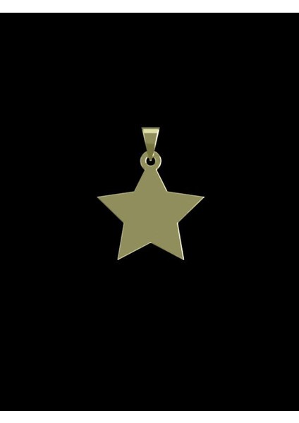 14 Ayar Altın Yıldız Kolye Ucu 0.3 Gr, KC15483 Kodlu fiyatları