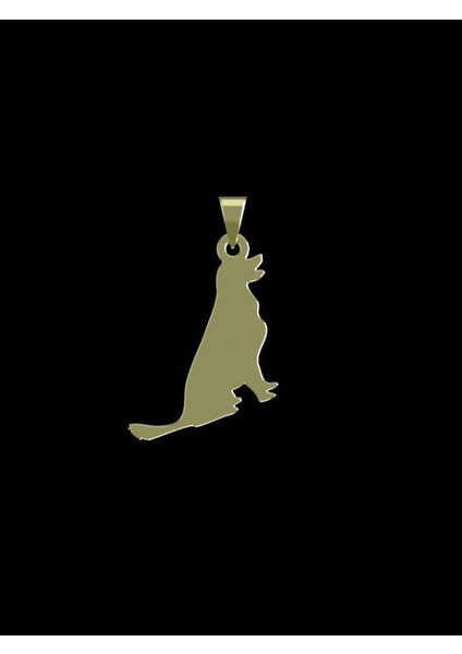 14 Ayar Altın Köpek Kolye Ucu 0.3 Gr, KC16323 Kodlu fiyatları