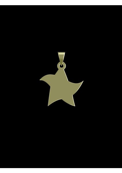 14 Ayar Altın Yıldız Kolye Ucu 0.3 Gr, KC15415 Kodlu fiyatları