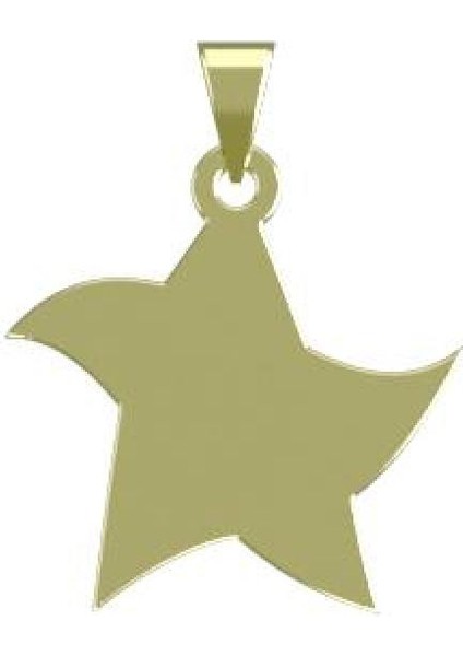 14 Ayar Altın Yıldız Kolye Ucu 0.3 Gr, KC15415 Kodlu modelleri