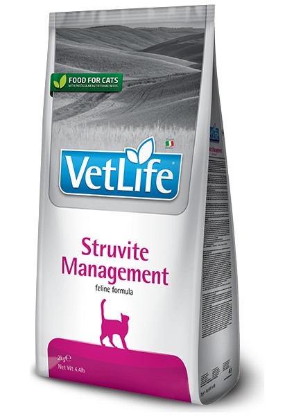 Struvite Management Kedi Maması 5 kg