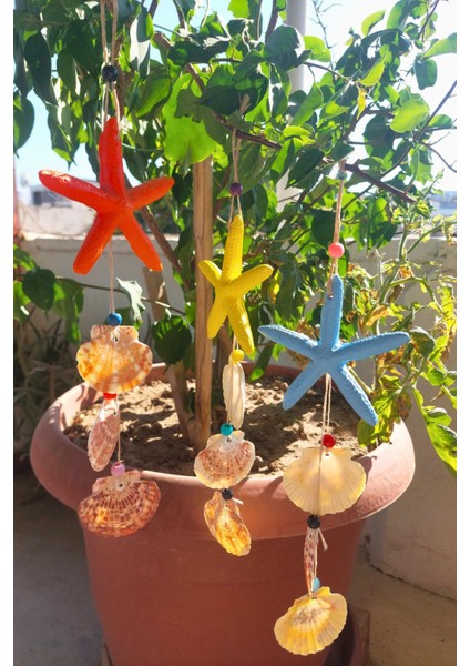 Renkli Deniz Yıldızı ve Kabuklu Duvar Süsü, Balkon ve Bahçe Dekoru Seti