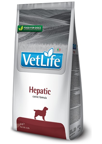 Hepatic Köpek Maması 2 kg