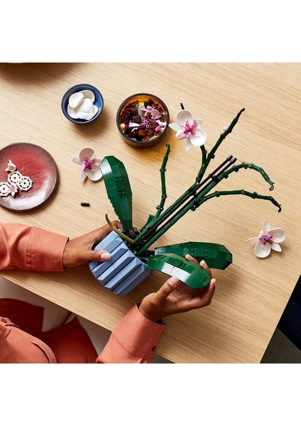 LEGO Orkide Dekoratif Bitki Yapım Seti 10311 indirimleri