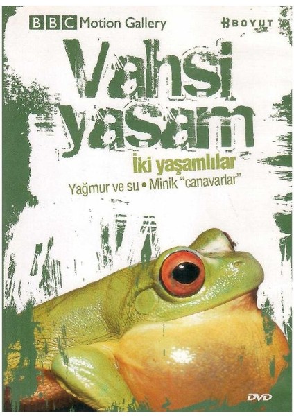 Bbc Motion Gallery - Vahşi Yaşam Iki Yaşamlılar Yağmur ve Su Minik Canavarlar - (Dvd)