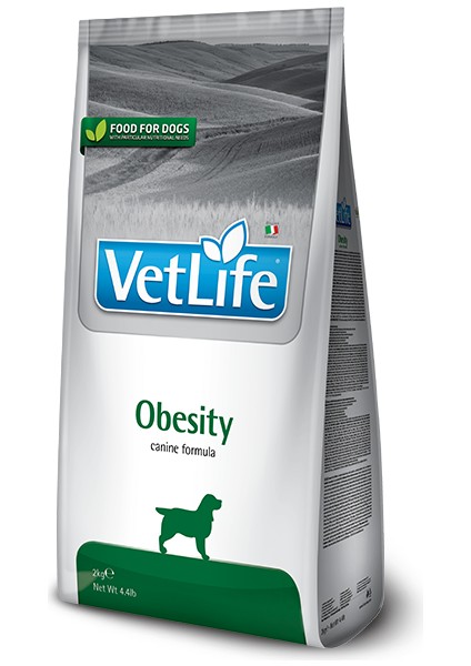 Obesity Köpek Maması 2 kg