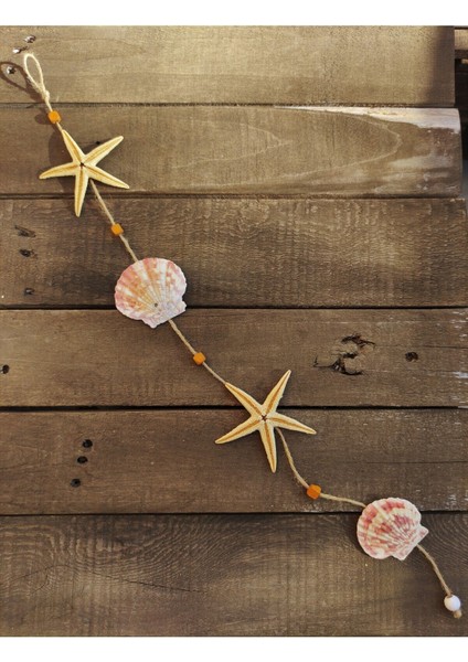 Renkli Deniz Yıldızı ve Istiridye Süsü, Duvar ve Balkon Dekoru