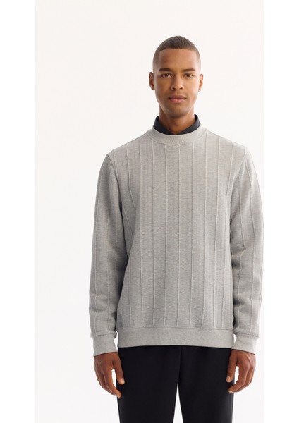 Erkek Gri Bisiklet Yaka Çizgili Elastan Regular Fit Sweatshirt A52Y1218