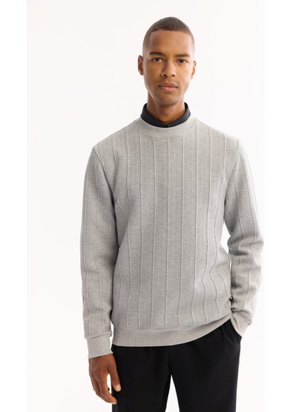 Erkek Gri Bisiklet Yaka Çizgili Elastan Regular Fit Sweatshirt A52Y1218 indirimleri