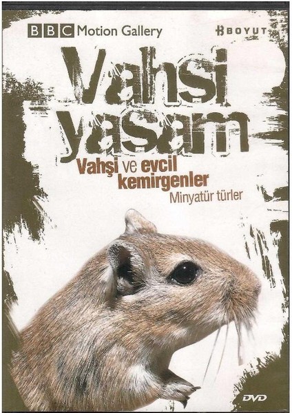 Bbc Motion Gallery - Vahşi Yaşam Vahşi ve Evcil Kemirgenler Minyatür Türler - (Dvd)
