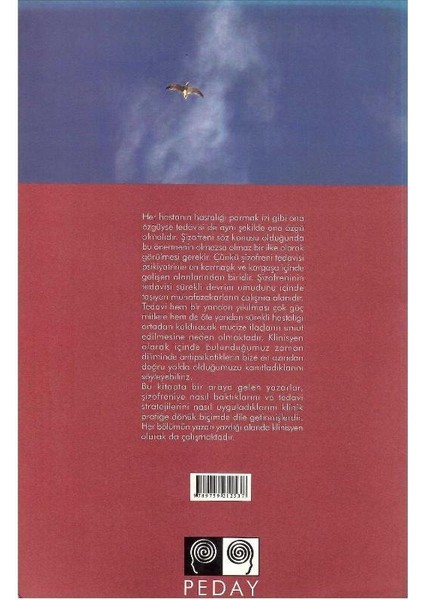 Neden Nasıl Şizofreni - Selçuk Candansayar fiyatları