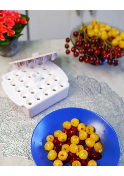 24’lü Çok Renkli Zeytin ve Vişne Çekirdeği Ayıklama Aparatı fiyatları