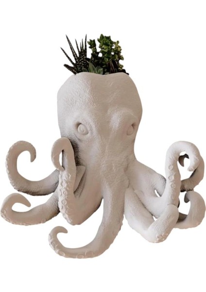 Beyaz Ahtapot Desenli Duvar Saksısı, Şık ve Modern Iç Mekan Dekoru Için Ideal