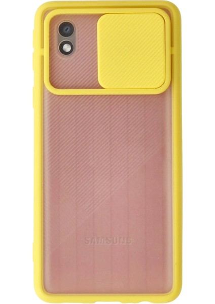 Samsung Galaxy A01 Core Kılıf Palm Buzlu Kamera Sürgülü Silikon - Sarı - NX2630-5602