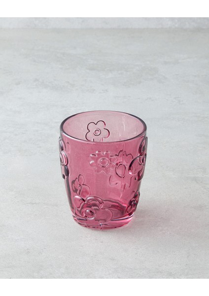 Fleur Cam 2'li Bardak 300 ml Pembe fiyatları