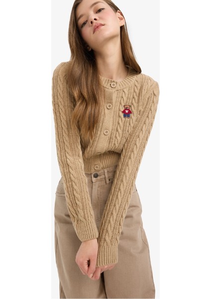 Regular Fit Bisiklet Yaka Düğmeli Triko Hırka E8237AX25WN fırsatları