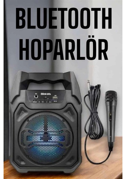 Güçlü Ve Şarj Edilebilir Bluetooth Hoparlör 6.5 Inç fiyatları