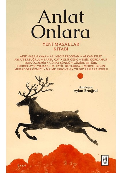 Anlat Onlara - Yeni Masallar Kitabı