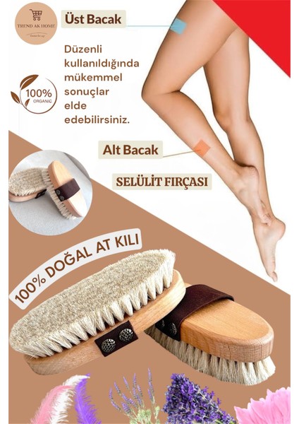 At Kılı Selülit Fırçası-Batık, Çatlak ve Selülit Kuru Fırçalama Peeling Fırçası