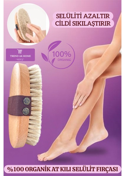 At Kılı Selülit Fırçası-Batık, Çatlak ve Selülit Kuru Fırçalama Peeling Fırçası fiyatları
