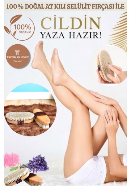 At Kılı Selülit Fırçası-Batık, Çatlak ve Selülit Kuru Fırçalama Peeling Fırçası fırsatları