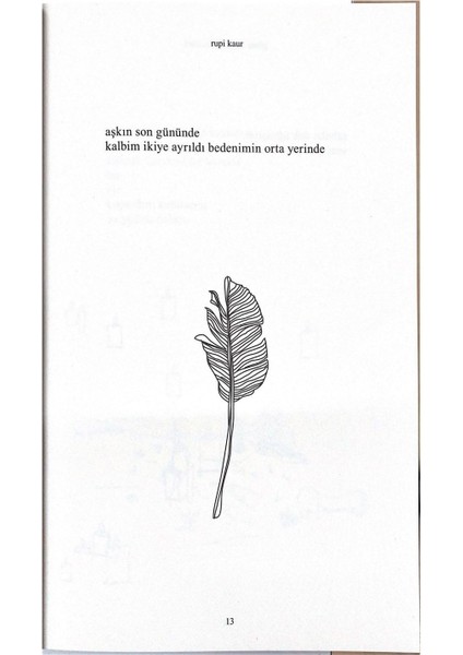 Güneş ve Onun Çiçekleri The Sun and Her Flowers Şiir Kitabı - Rupi Kaur Türkçe 256 Sayfa Karton Kapak