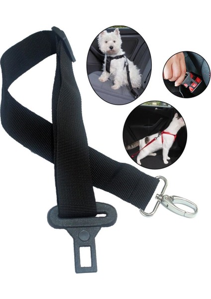 Köpek Kedi Araç Emniyet Kemeri - Köpek Tasması modelleri