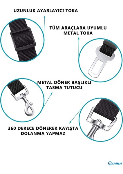 Köpek Kedi Araç Emniyet Kemeri - Köpek Tasması