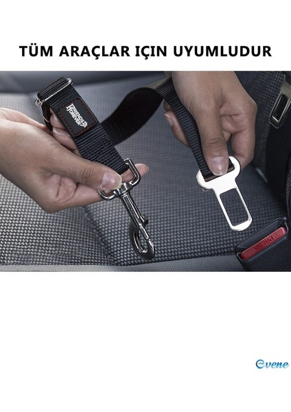 Köpek Kedi Araç Emniyet Kemeri - Köpek Tasması