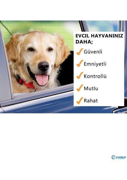 Köpek Kedi Araç Emniyet Kemeri - Köpek Tasması