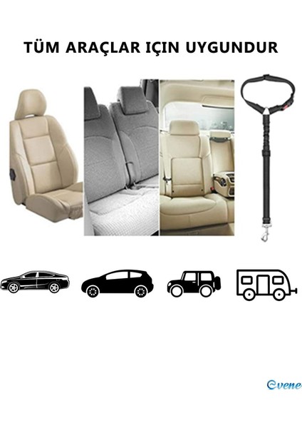 Köpek Kedi Araç Emniyet Kemeri - Köpek Tasması