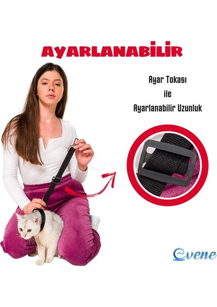 Evcil Hayvan Araç Emniyet Kemeri Emniyet Tasması modelleri