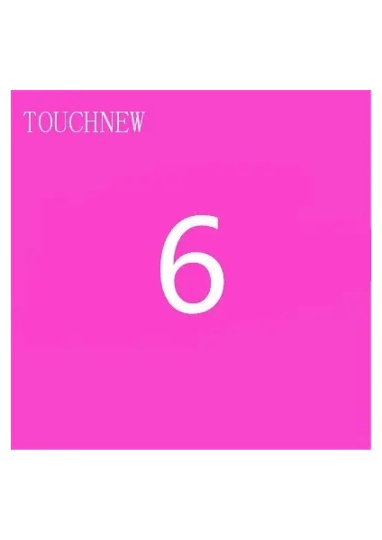 Touchnew Özel Tek Renkler Işaretçileri Alkol Tabanlı Çift Kafa Fırça Işaretçileri Çizim Için Kalem Sanat Tedarikleri Işaretleri Renk: 6 (Yurt Dışından)