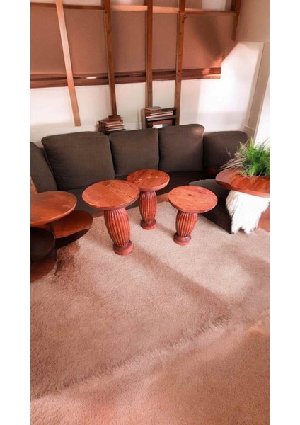 Maun Renk Ahşap Mantar Sehpa 3lu Set Yan Sehpa Takımı fiyatları