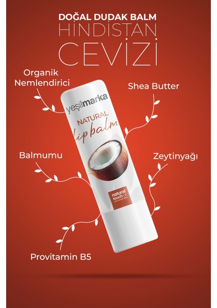 Doğal Dudak Balmı - Hindistan Cevizi modelleri
