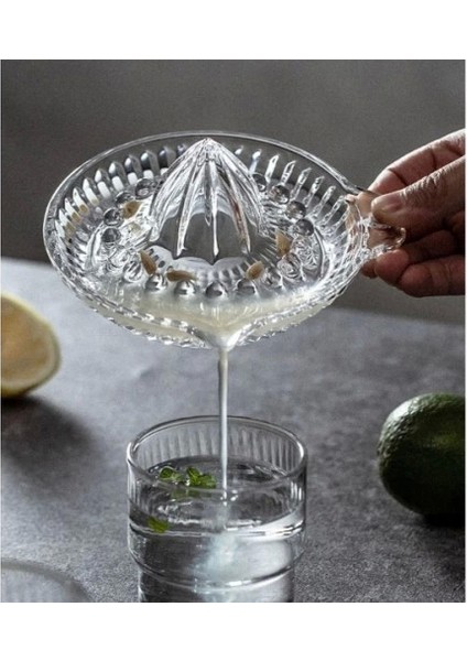 Cam Limon Sıkacağı fırsatları