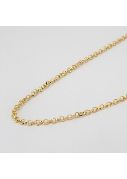 14 Ayar Yıldız Kesim Doç Zincir Kolye 48 cm 3,4 Gram fiyatları