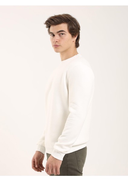 Ekru Erkek Regular Fit Bisiklet Yaka Sweatshirt fırsatları
