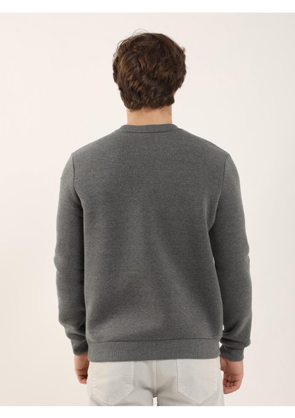 Antrasit Erkek Regular Fit Bisiklet Yaka Sweatshirt indirimleri