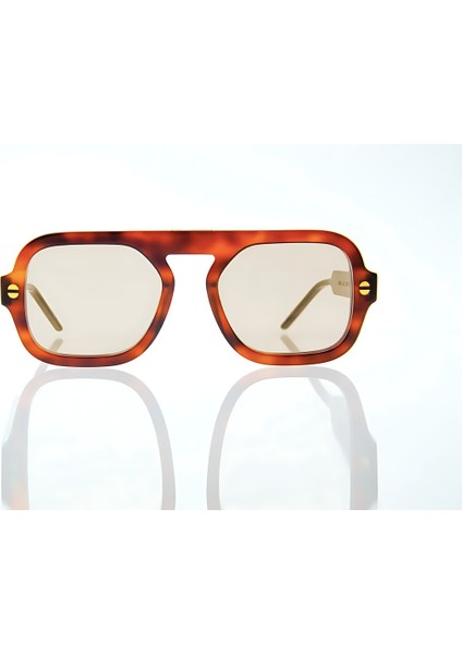 Franco Vıtal Dıony L.brn Unısex Güneş Gözlüğü fiyatları