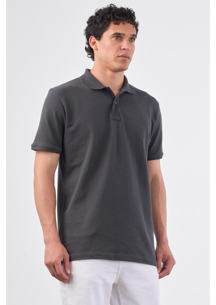 Antrasit Polo Yaka Pamuklu Düz Renk Slim Fit Erkek T-shirt fırsatları