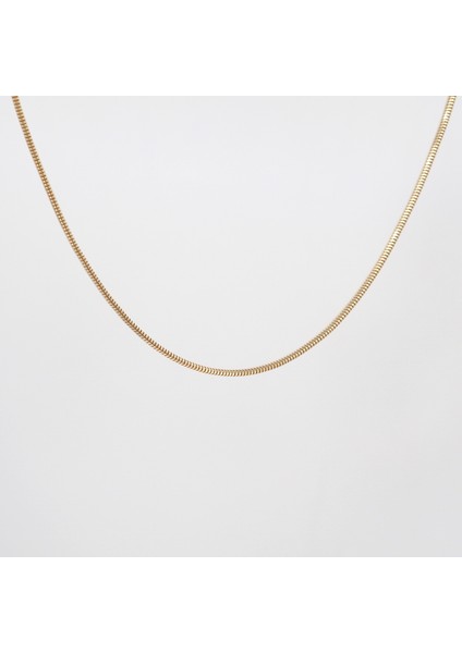 14 Ayar Balık Sırtı Altın Zincir Kolye – 48 cm – 6,83 gr – 2.5 mm fiyatları